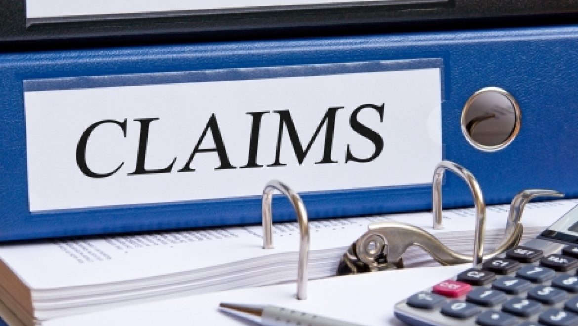 תובענה מנהלית